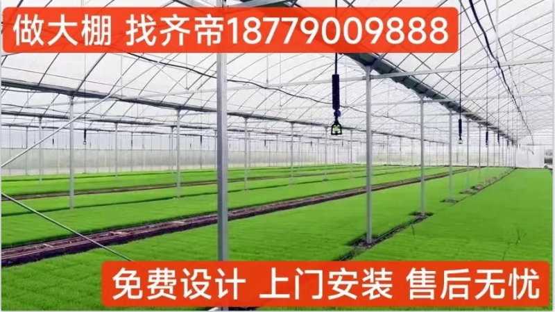 齊帝 養(yǎng)殖大棚 養(yǎng)魚(yú) 、蝦、螃蟹等